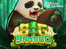 Bedava slot casino oyunları9